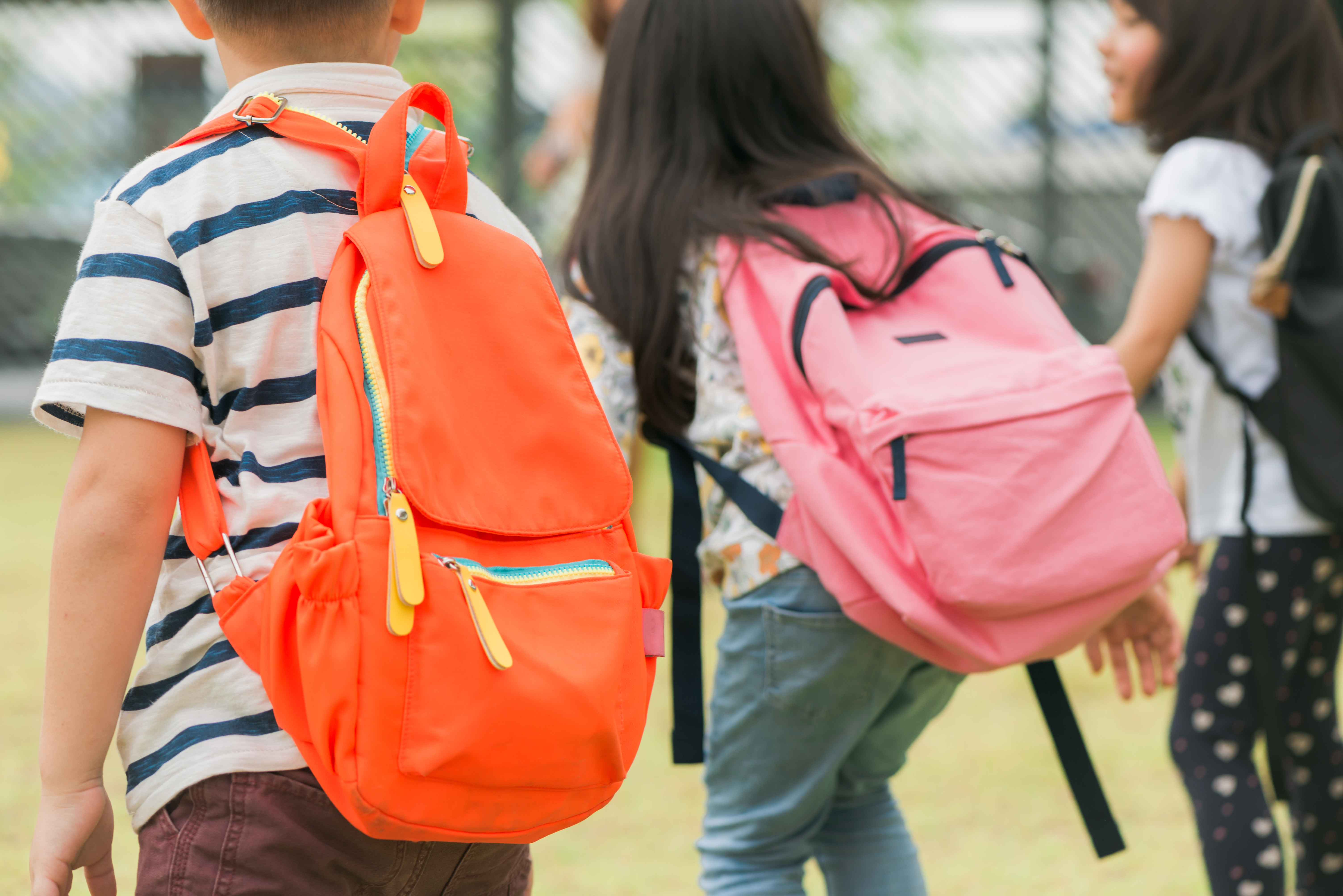 Children go to school. Школьник с рюкзаком. Ребенок с портфелем. Ребенок со школьным рюкзаком. Ребенок с портфелем спиной.